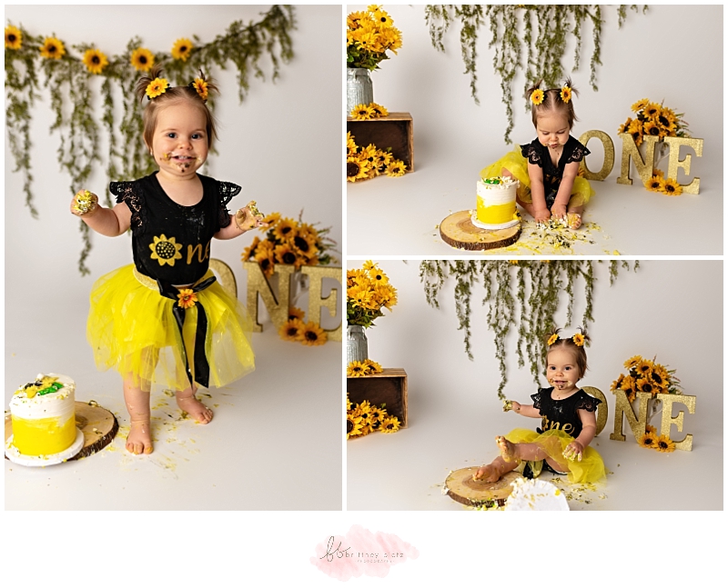 Calgary sunflower cake smash baby smashing cake